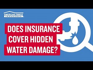 Hidden Water Damage Coverage | American Family Insurance