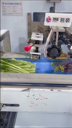 vegetable packing machine with perforation, breathable and labor-saving #vegetablepackingmachine