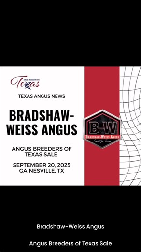5.7K views · 105 reactions | Bradshaw-Weiss Angus is bringing the...