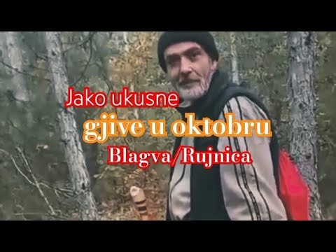 U Oktobru Blagva / Rujnica #blagva #shorts #new #trending #viral #foryou #nature #forest #mushroom
