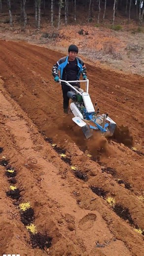 Backfilling for Planting