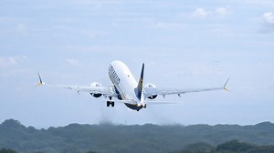 Bird strikes aircraft shortly after takeoff caught on camera