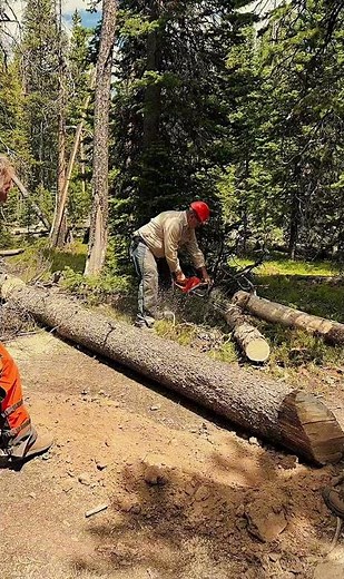 Big Thompson 4-Wheelers [A80] Clearing Forest Road #offroad #overland #4x4clubs