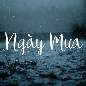 Những Bài Hát Cho Ngày Mưa - Various Artists | NHAC.VN