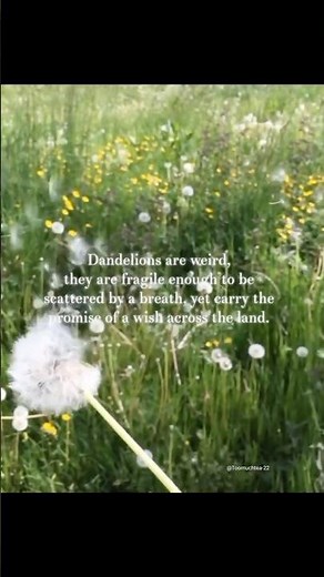 These Flower Quotes Hit Different. #relatable #shortvideo #deepquotes #aesthetic #explorepage #fy