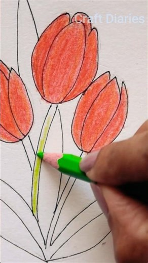 Easy Tulips 🌷 How to draw Tulip | Tulip Colouring | Easy Tulip Drawing #ytshorts #tulips