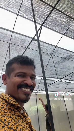 Exploring Greenhouse Farming Techniques for Beginners