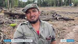 En Guyane, la forêt amazonienne est un réservoir de biodiversité à préserver. Pourtant, un projet d’implantation de centrale photovoltaïque nécessite de raser 80 hectares de forêt. | Info France 3