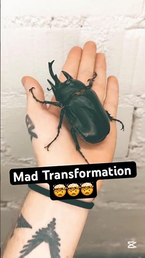 Egg to Full Grown Watch Bugs Transform! 🦋 #InsectTransformation #ScienceExplained #biology