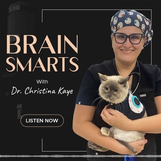 🎉 Get Ready for Another Wild Round of Brain Smarts! 🎉 Welcome to Brain Smarts by Vet Candy – the veterinary game show where knowledge collides with comedy, and the competition is fiercer than a cat at the vet! 🐱💡 Hosted by the hilarious Clay & CCaitlin Palmer this fast-paced showdown puts veterinary pros to the ultimate test with brain-busting trivia, current events, and unexpected twists. This episode features the incredible Dr. Christina Kaye, a Florida feline-loving, adventure-seeking vet