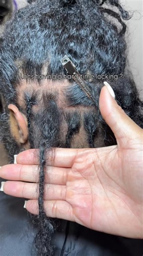 The Loc Mamii on Instagram: "This client is officially 1 year locd as of December 11th and as you can see, his locs needed a little reinforcement because his roots were refusing to loc and his retwists would not last long. Crochet maintenance is an alternate technique for those who have loser texture hair, significant new growth, frizz etc. TIPS: 1. You never want to crochet so close to the root. Too much tension at the root can break hairs and cause pain. leave space for comfort and movement. 2
