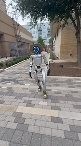 63K views · 1.1K reactions | Would you do homework with rizzbot? #robot #pickuplines #pickuplinechallenge | RizzBot | Facebook