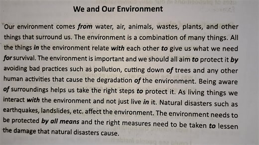 Understanding Our Environment: English Paragraph for Students
