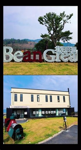 #旅游 咖啡庄园 #咖啡树 第一次走进咖啡庄园，了解咖啡的历史，看到了咖啡树和果实，，，，在品尝了专业的好咖啡后，才知道自己是土老帽，咖啡真难喝呀😄😄😄
