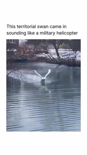 POINT OF MEMES CULTURE on Instagram: "Follow for more 🍿⬇️ Scary Movie 4 is a hilarious horror comedy parody film that mixes spooky scenes with nonstop laughs. The story follows Cindy Campbell as she moves into a haunted house after being widowed, only to uncover dark secrets linked to her neighbor Tom Ryan. Things get crazier when an absurd alien invasion with giant tripods threatens Earth. With the return of Brenda Meeks, the movie delivers iconic comedy moments while spoofing popular films li