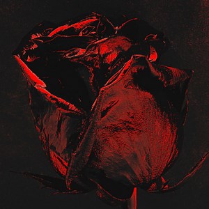 Rockefeller Concert & Tour History (Updated for 2025 - 2026) | Concert Archives