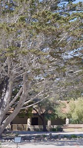 Dive into Carmel's founding history at the Carmel Mission. It stands as a national historic landmark for being one of the most authentically restored Catholic mission churches in California. Learn more and view available touring times here: https://www.carmelcalifornia.com/organizations-carmel_mission_basilica_377.htm. | Carmel by the Sea