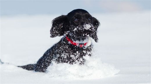 Wetter morgen: Hier droht gefährliche Glätte