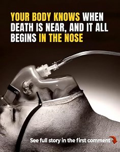 It all begins in the nose 😨👇 | Positive Stuff