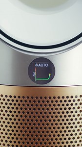 Bersihkan udara di dalam raungan rumah anda bersama pembersih udara Dyson Raya ini. Menapis 99.5% zarah ultrahalus sehalus 0.1 microns. | Dyson