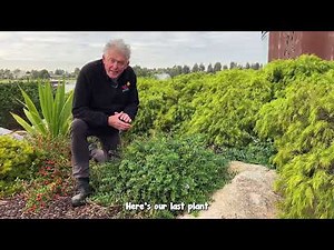 Part 2: This is How to Create The Perfect Australian Native Garden