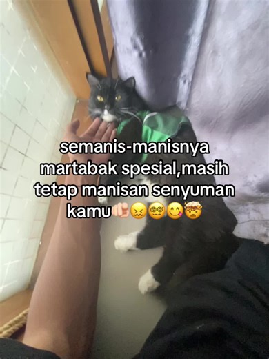 waduhh #martabakspesial #kucing #fotolive #katakata #fypage #4u