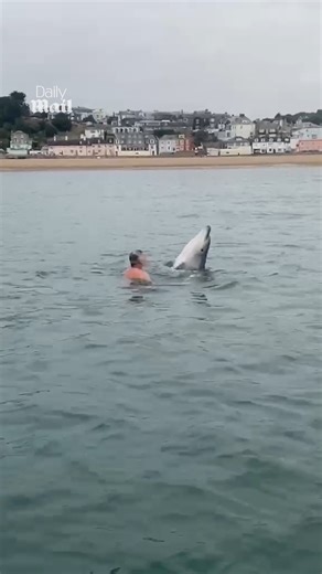 41K views · 959 reactions | Such a magical moment ❤️ | Daily Mail Video | Facebook