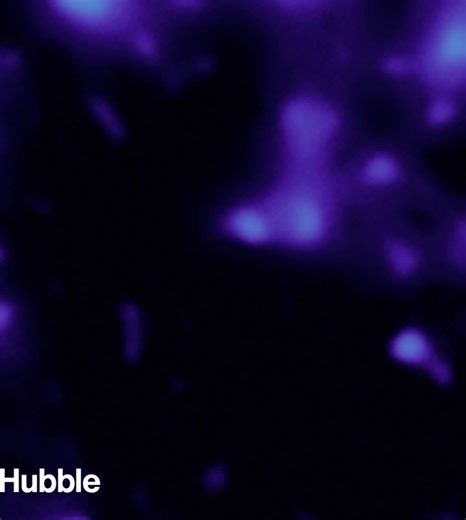 NASA Jet Propulsion Laboratory on Instagram: "Dark matter may be invisible – but its influence is everywhere. Using data from NASA’s James Webb Space Telescope, scientists have created one of the most detailed, high-resolution maps of dark matter ever produced. Dark matter doesn’t emit, reflect, absorb, or even block light, and is therefore not visible to the human eye or traditional telescopes. But it does interact with the universe through gravity, and large clumps or clusters of dark matter h