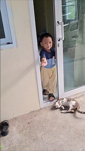 Why doesn't Pao Pao play with his little brother? 🤣 #comedy #cute #youtubeshorts #funny #youtube ...