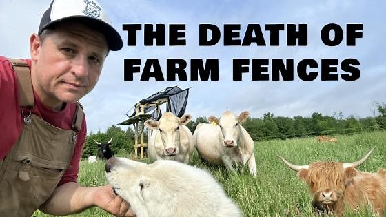 How GPS Tech Is Transforming Cattle Management