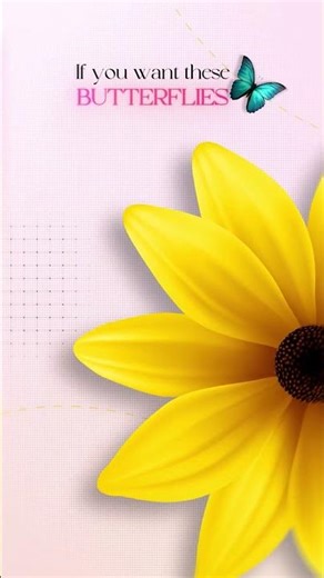 The Butterfly Animation Pack Is Here - Check Description !🦋 #AfterEffects #videoediting #Animation