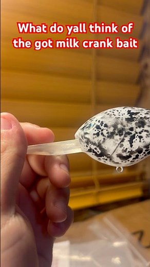 Airbrushing crank baits for bass fishing #baitmaking #handmadelure #bassfishing #fishing