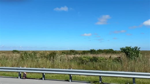 The Everglades in Alligator Alley | Pam Williams | Facebook
