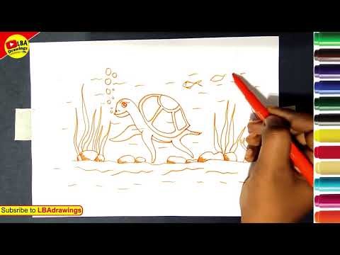 How to Draw a Cute Turtle Step by Step | Easy Turtle Drawing for Beginners
