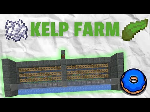 Bone meal kelp farm on Donutsmp [tutorial]