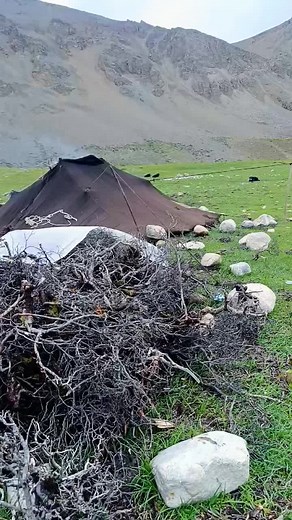 Tibetan Nomad #video #tiktok #fpyシ #viralvideos #lifestyle #fpy #CapCut #nomad #culture