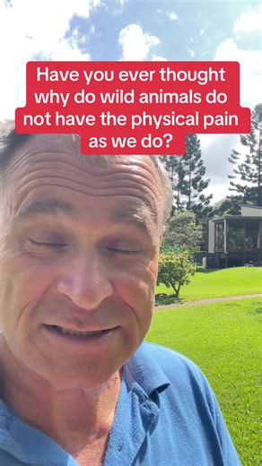 How Animals Experience Pain Differently