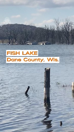 99K views · 575 reactions | Geo Rutherford and her family moved to...