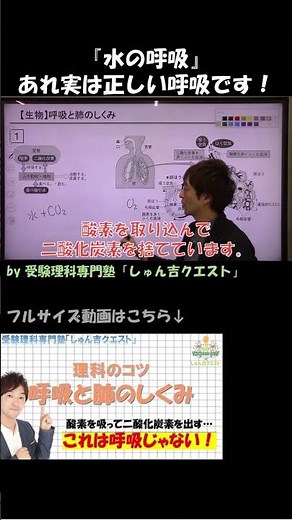【理科のコツ「呼吸と肺のしくみ」】呼吸の本当の目的とは？【受験理科専門塾しゅん吉クエスト】