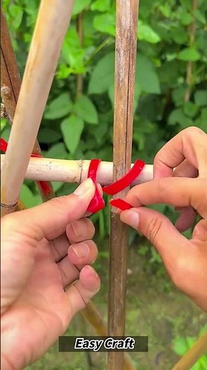 Reusable Elastic Nylon Cable Ties for Gardening