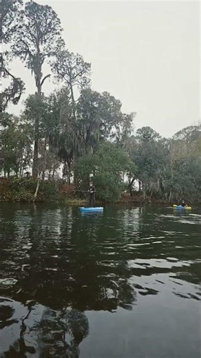 rainbow River treehouse Airbnb