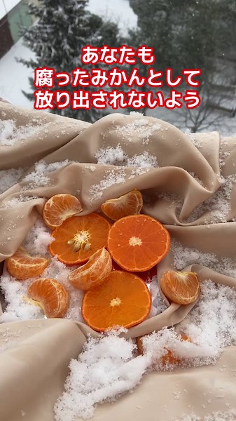 腐ったみかんから学ぶ金八先生の教訓