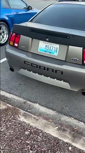 cammed supercharged 2001 mustang cobra choppin😮‍💨