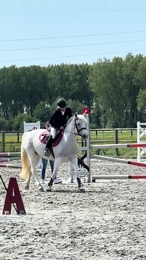 Découvrez l'harmonie entre femmes et chevaux