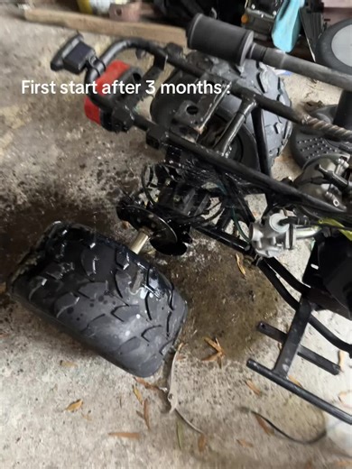 Minibike Carb Clean After 3 Months