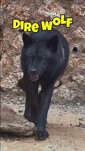 Extinct animals that scientists trying to bring back 🦣🦤 #animals