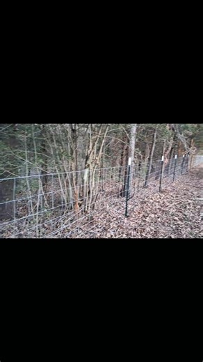 Fence line clearing and old barbedwire fence replaced with a new standard field fence. In Centerville, Tx #LeonCounty #NewFence #LandClearing #TreeService | Quality Fencing