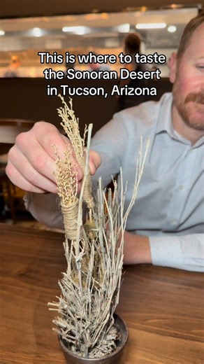 Nancy Fulkerson on Instagram: "New Sonoran Desert foodie experience in downtown Tucson @ursa_az You can literally taste the heritage crops with this modern twist to the past. Dishes like quail, wolf berry sorbet and even a stuffed barrel cactus fruit— you have never had these flavors before. Chef Aaron Lopez has turned Ursa into a work of art that almost looks too beautiful to eat. Loved all the inventive ways to serve dishes and the fun utensils that changed each course. Each dinner is 8 tastin