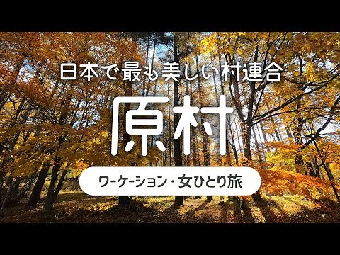 【女ひとり旅】日本で最も美しい村連合の長野県 原村で1週間ワーケーション・移住体験 2020.11