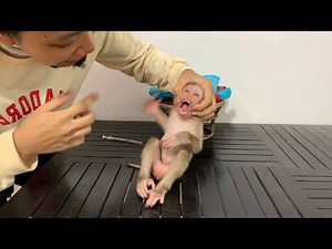 Omq..!! Sadd BiBi mnkey close eye when mom cheakinq her mouth